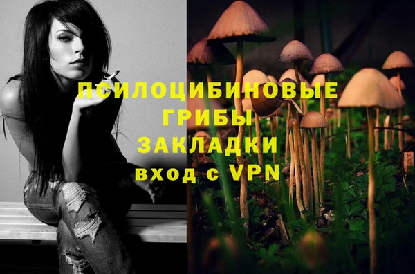 MESCALINE Богородицк