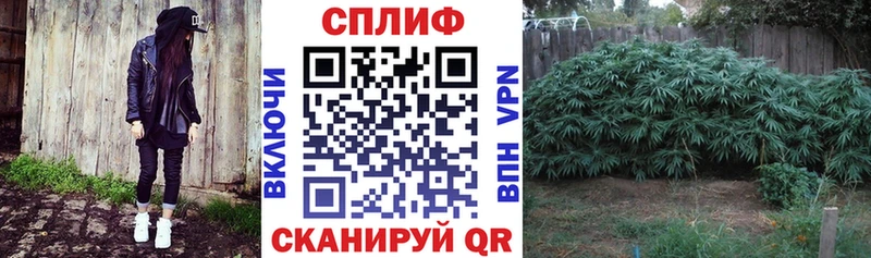 мега сайт  купить закладку  Первоуральск  площадка телеграм  Конопля AK-47 